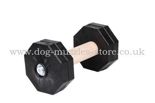 IGP Dumbbell for Dogs with Black Plastic Weights 2.2 lbs