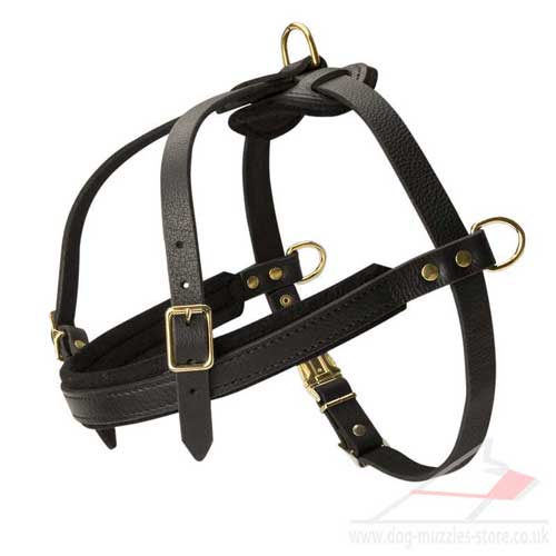 Weight Pulling Sport Dog Harness Genuine Leather