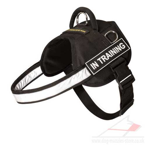 Light-Reflecting Heavy Duty Nylon Dog Harness with Handle - Click Image to Close
