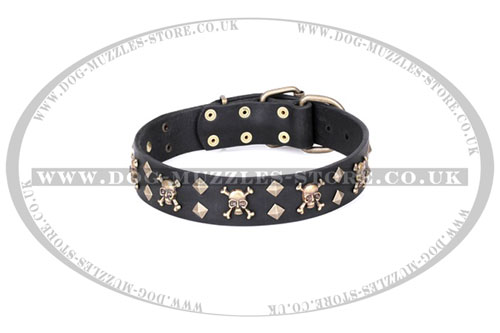 Artisan Leather Pirate Dog Collar with Brass Skulls and Studs