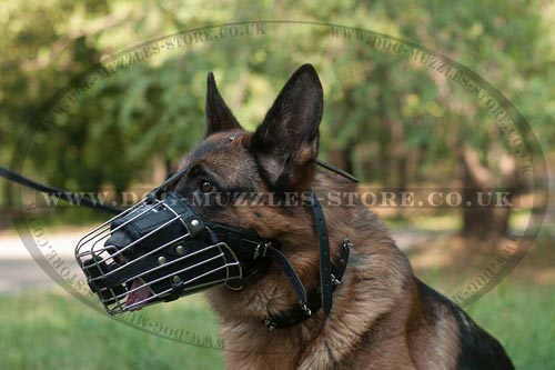 Padded Basket Dog Muzzle for German Shepherd, All Round Lining - Click Image to Close