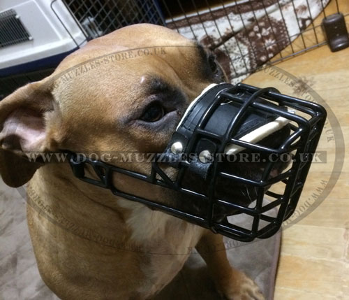 Rubber-Coated Pitbull Cage Muzzle for Large Dogs for Any Weather