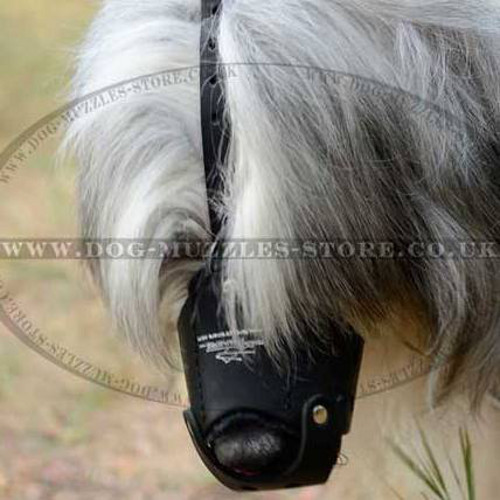 Russian Shepherd Leather Dog Muzzle - Click Image to Close