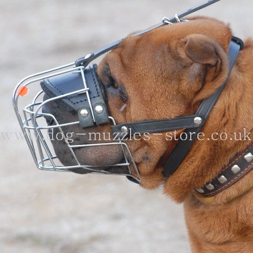 Shar Pei Muzzle UK | Best Dog Muzzle for Shar Pei Dogs - Click Image to Close