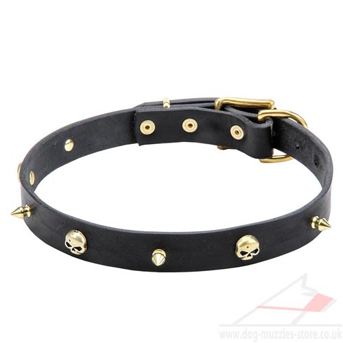 Designer Dog Collar with Golden Brainpans for Small/Large Dogs - Click Image to Close