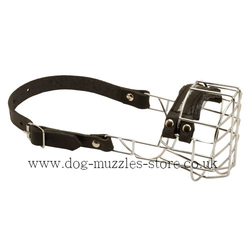 Small Dog Muzzles UK for Spitz, Schnauzer, Spaniel Muzzle Size