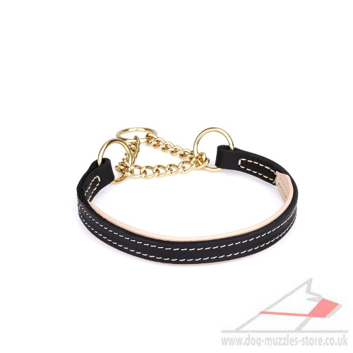 Best martingale hotsell collar uk