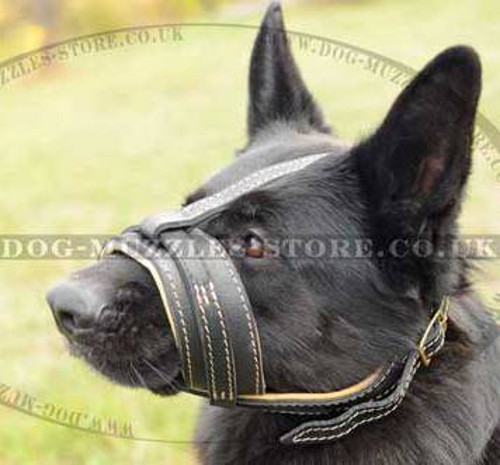 Padded Dog Muzzle for German Shepherd | Leather Dog Muzzle GSD - Click Image to Close