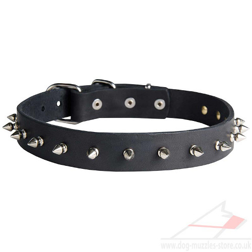 Spiked Dog Collar Best Quality and Price from the Producer - Click Image to Close
