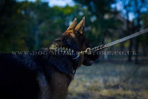 New Spiked Dog Collar for German Shepherd 'Unveiled Luxury'