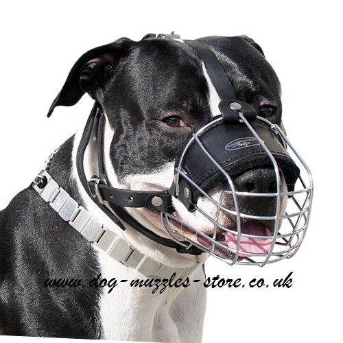 Wire Dog Muzzle UK