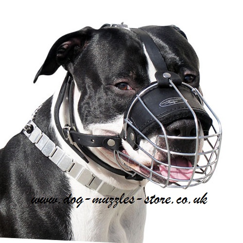 soft muzzle for staffy