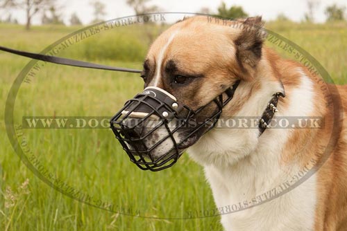 Rubber-Covered Dog Basket Muzzle for Alabai and Big Shepherd Dog - Click Image to Close