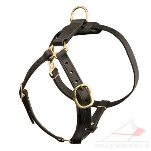 Large, Soft and Strong Leather Dog Harness with Brass Fittings - Click Image to Close