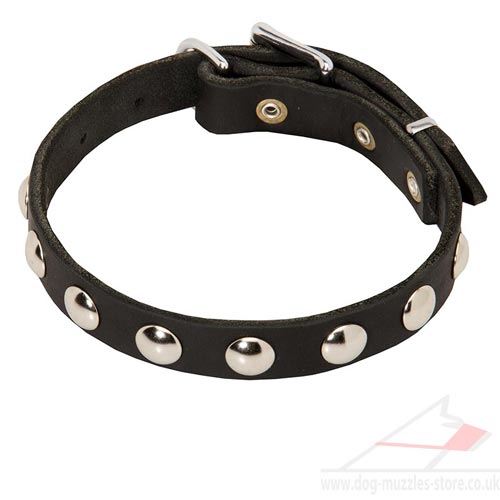 Small Dog Collars UK | Studded Dog Collars