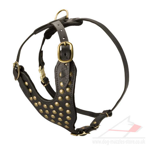 Studded Dog Harnesses for Sale | Luxury Dog Harness UK - Click Image to Close