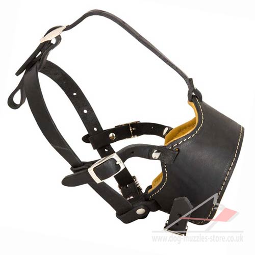 Soft Padded Leather Muzzle Loop - Click Image to Close