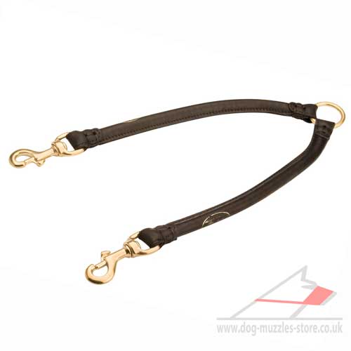 Walking Two Dogs Together Lead | Dog Lead Coupler 12 mm - Click Image to Close