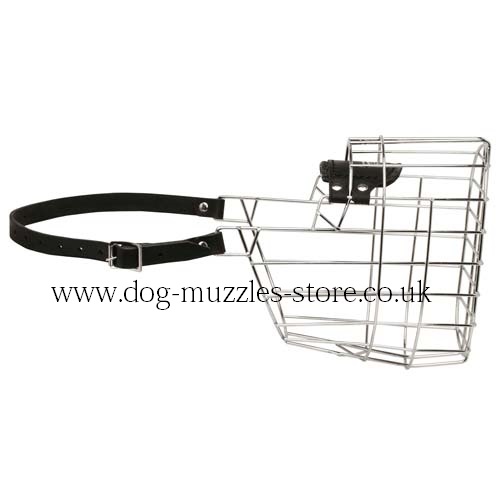 Great Dane Muzzles for Dogs UK Bestsellers