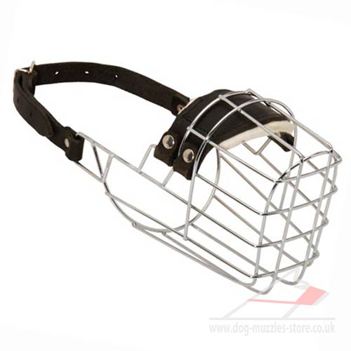 Wire Basket Dog Muzzle That Allows Drinking and Eating - Click Image to Close