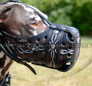 Leather Dog Muzzle for Dalmatian | Handpainted Dalmatian Muzzle