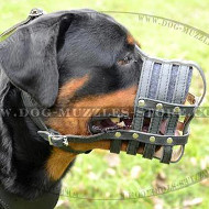 Soft Padded Dog Muzzle Leather Basket for Rottie Soft Padded Dog Muzzle Leather Basket for Rottie