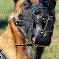 Leather Dog Muzzle | Belgian Malinlois Muzzle Bestseller UK