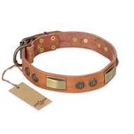 Great Leather Dog Collar FDT Artisan 'Lost Desert' Great Leather Dog Collar FDT Artisan 'Lost Desert'
