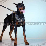 Best Dog Harness with Studs and Padding | Large Dog Harness