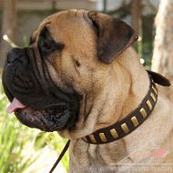 Boerboel Mastiff Collars UK | New Strong Leather Dog Collar - Click Image to Close