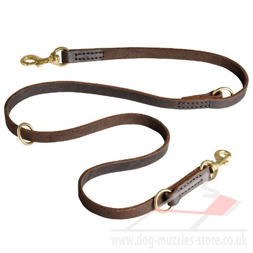 multifunctional hands free dog leash buy online UK