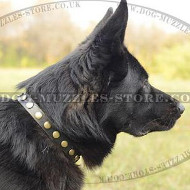 Necklace Style German Shepherd Collar