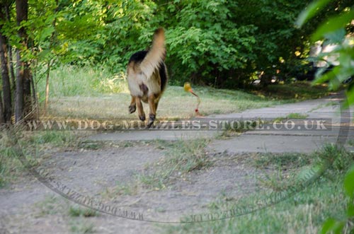 German Shepherd toy