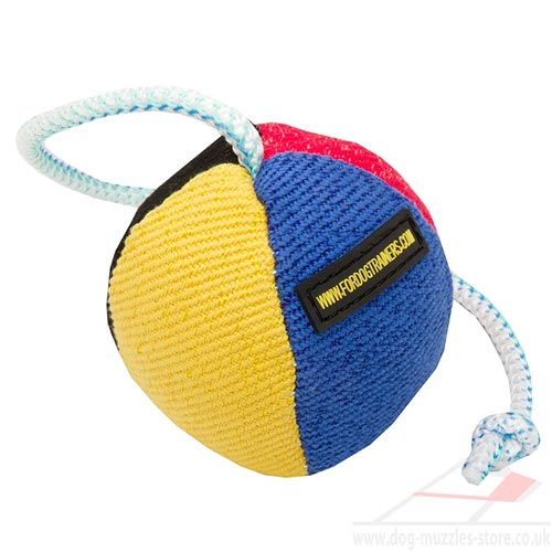 soft dog ball with rope