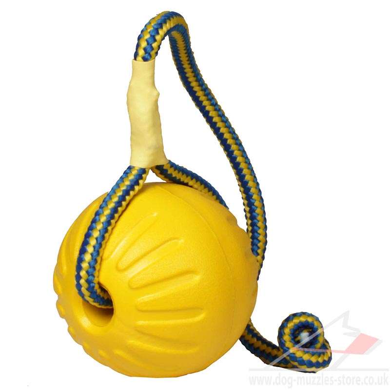 Extra Strong Dog Toys for Large Dog Fun Dog Fetch Toy £15.90