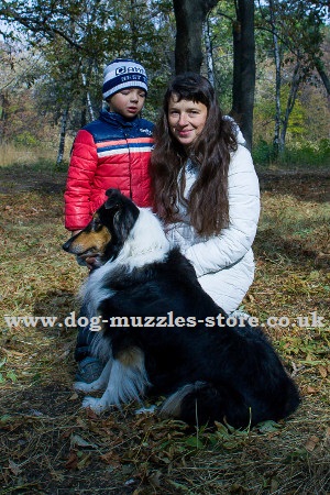 Collie and Children