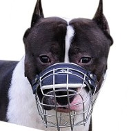 Best Dog Muzzles UK | Staffie Muzzles Wire Baskets