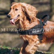 The Best Dog Harness for Spaniel to Stop Dog Pulling