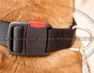 Nylon Dog Collar for Dog De Bordeaux | Strong Large Dog Collar