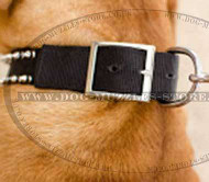 Nylon Dog Collars for Dogue De Bordeaux