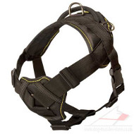 Padded Nylon Dog Harness