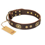 New Leather Dog Collar with Bronze-Like Studs 'One-of-a-Kind'