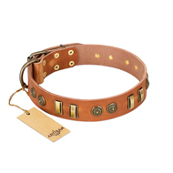 Natural Beauty FDT Artisan Leather Dog Collar Tan Natural Beauty FDT Artisan Leather Dog Collar Tan