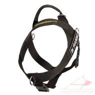 Non Pull Dog Harness