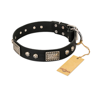 Elegant Black Dog Collar with Decorations 'Pirates Gold'