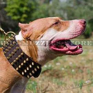 Pit Bull Terrier Collar Wide Leather | Spiked Dog Collar Large