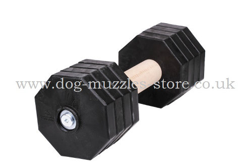 Retrieve Dumbbell for Dogs