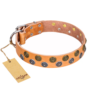 Great Tan Leather Dog Collar 'Precious Sparkle' FDT Artisan Great Tan Leather Dog Collar 'Precious Sparkle' FDT Artisan