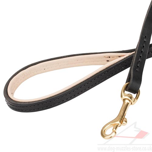 Leather Dog Lead