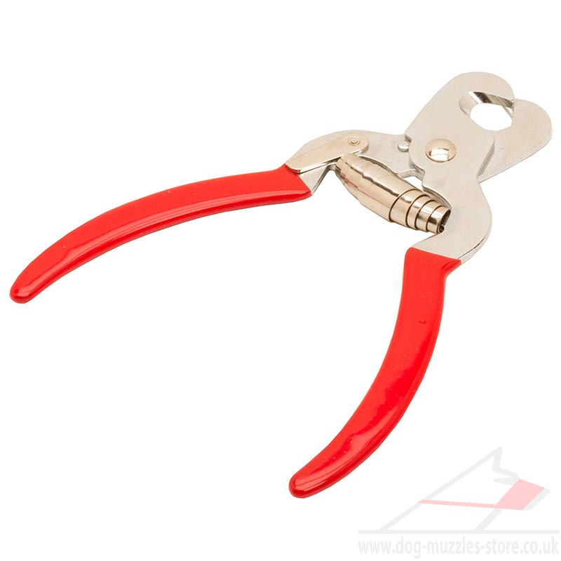 best dog nail clippers uk